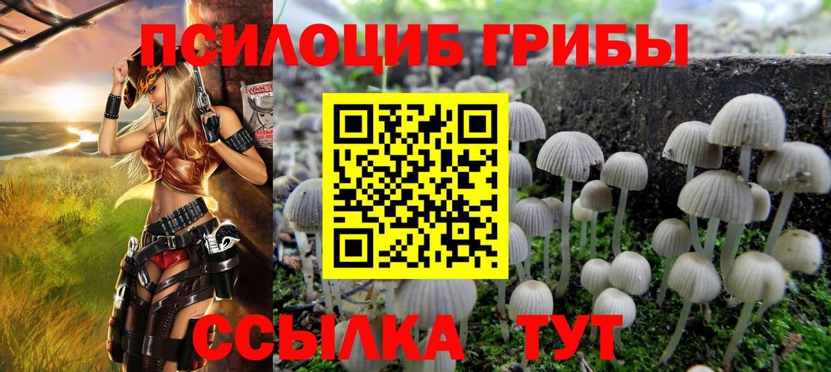 как найти   Вход с VPN  Псилоцибиновые грибы ЛСД  Тобольск  Псилоцибиновые грибы мухоморы 